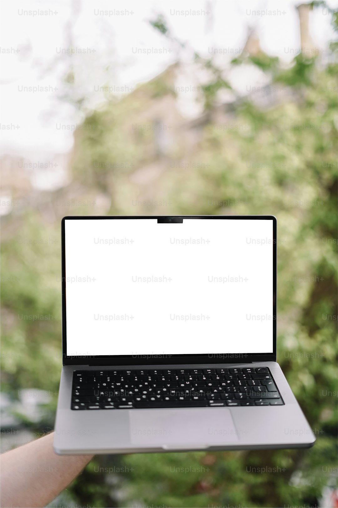 WordPress website